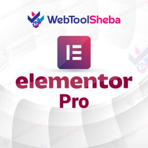 Elementor Pro Price in BD